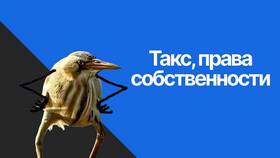 Как подтвердить право собственности на имущество в Летуаль