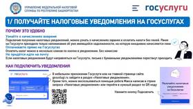 Как получать письма онлайн через Госуслуги в Летуаль