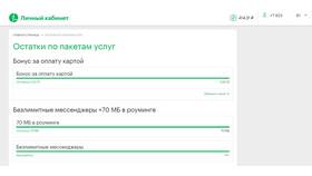 Как проверить остаток услуг на Мегафоне в Летуаль