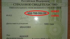 Как выглядит электронный СНИЛС в Летуаль