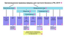 ООО: форма собственности или организационно-правовая форма? в Летуаль