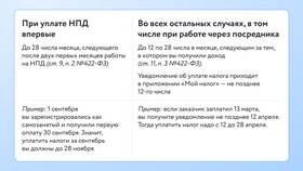 Почему не приходят налоговые уведомления в приложении в Летуаль