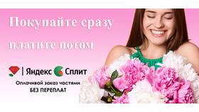 Причины отсутствия сплита на Яндекс Маркете в Летуаль