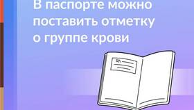 Шрифт как в паспорте РФ в Летуаль