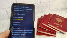 Сроки отображения нового паспорта на Госуслугах в Летуаль