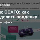 Как проверить подлинность полиса ОСАГО