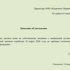 Как уволиться с должности директора ООО