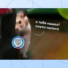 Ограничения на оплату штрафов с доходов самозанятых