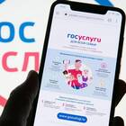 Сроки оформления статуса многодетной семьи через Госуслуги
